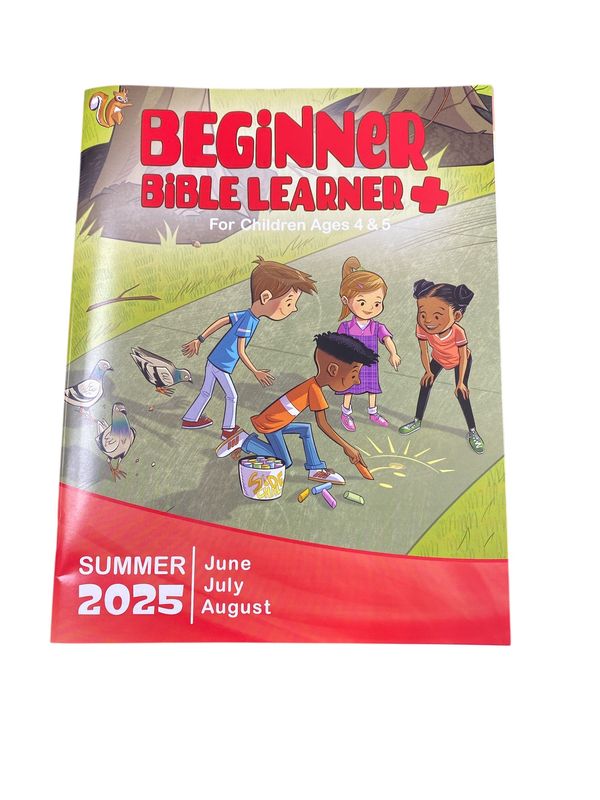 Beginner Learner