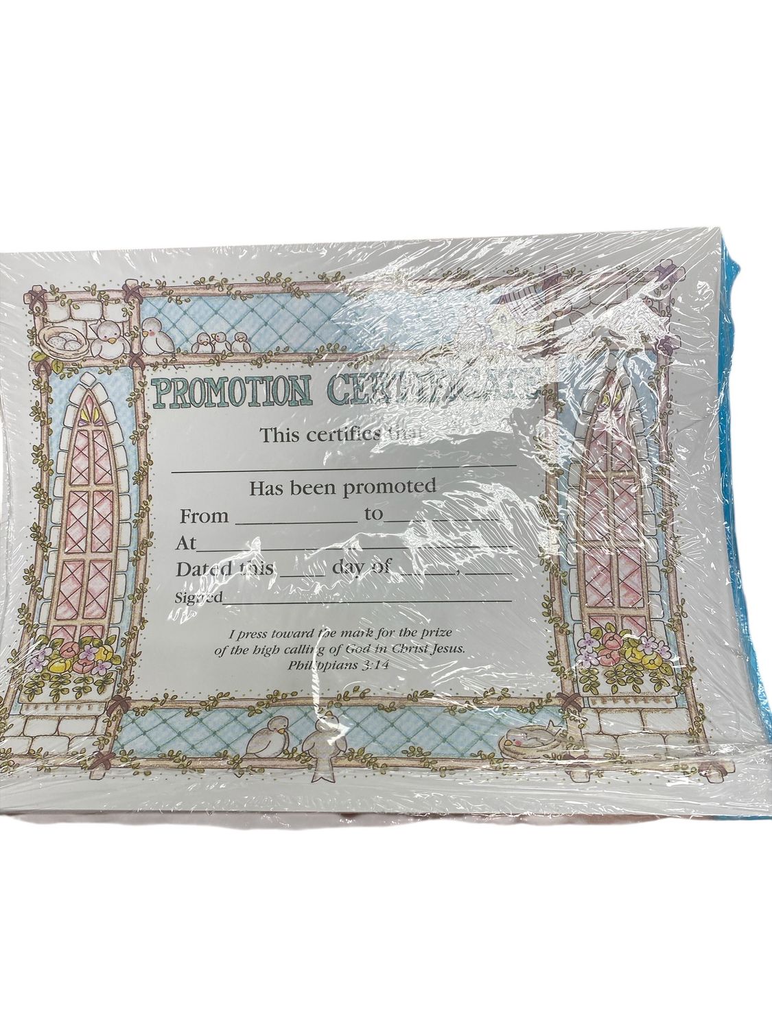 Promotion Certificates