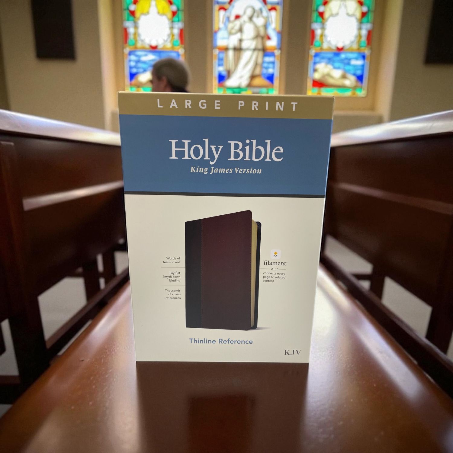 King James Version Bible