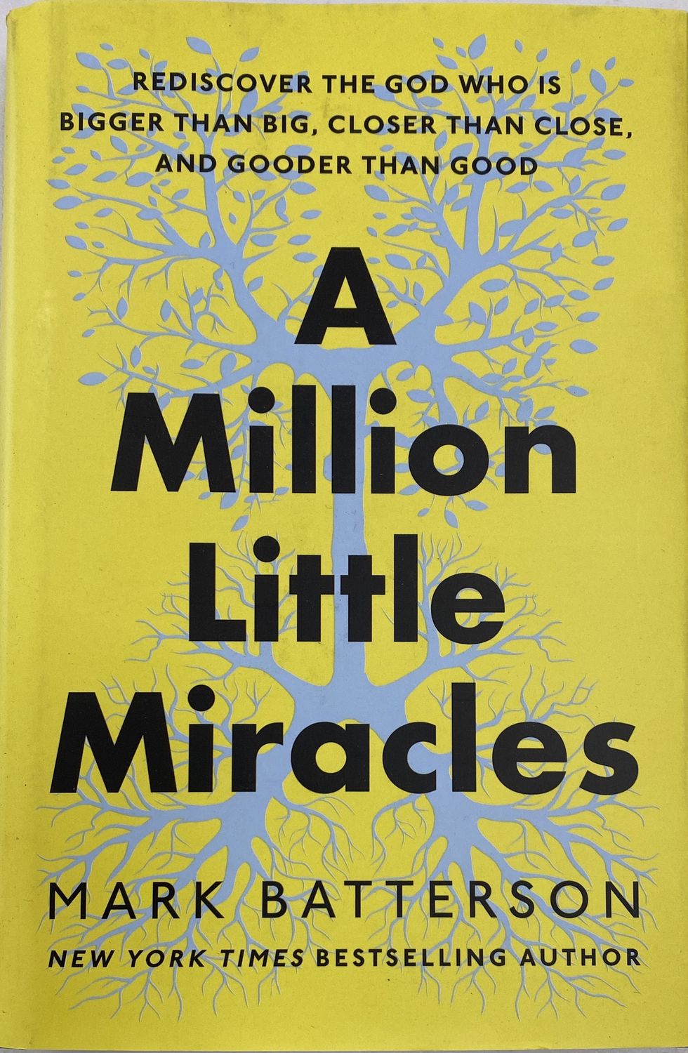 A Million Little Miracles