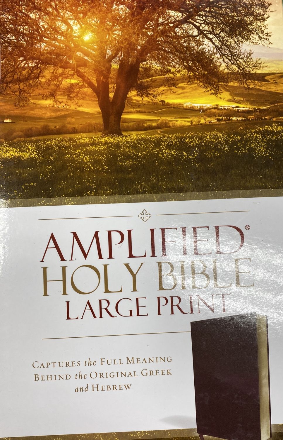 Amplified Large Print Bible