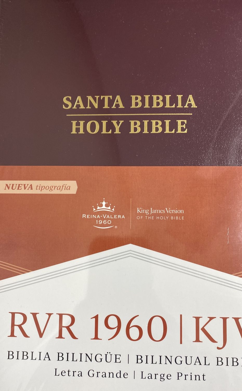 BIBLIA SANTA RVR 1960 KJV
