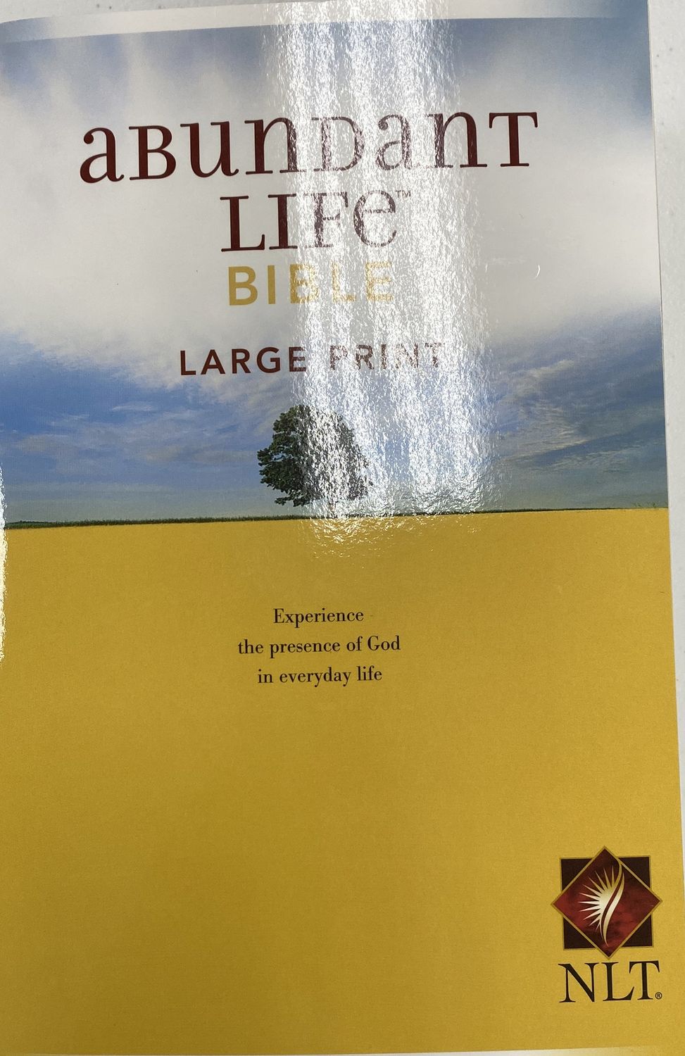 Abundant Life Bible Soft Cover Large Print