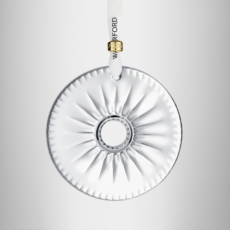 New Year Disc Firework