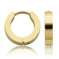 Steelx Earring Huggies Gold Plated