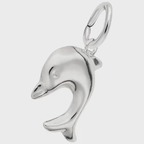 Nuco Charm Sterling - Diving Dolphin