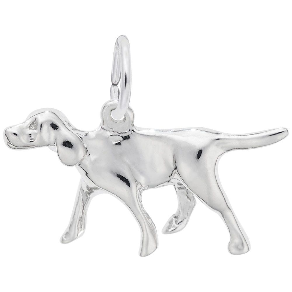 Nuco Charm Sterling - German Shorthair