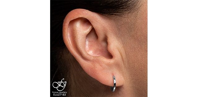Forever Diamond 10KW .04TW Earrings ELU27183