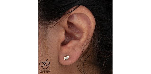 Forever Diamond 10KY .04TW Earrings ELU27189