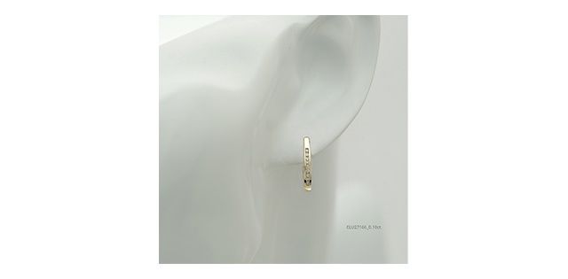 Forever Diamond 10KY .10TW Earrings ELU27166