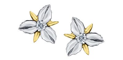 Maple Leaf Diamond 14KWY .12TW Earrings EE4410 Shelly Purdy Seasons
