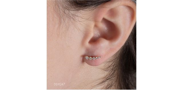 Corona Diamond 10KY .25TW Earrings EE4672