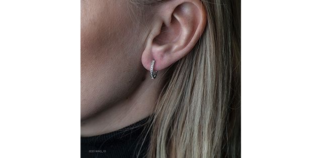 Corona Diamond 10KW .10TW Earrings EE2014