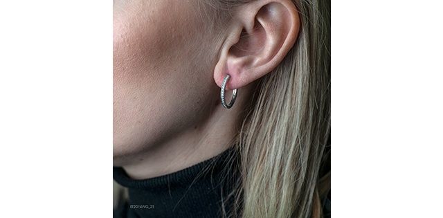 Corona Diamond 10KW .25TW Earrings EE2014