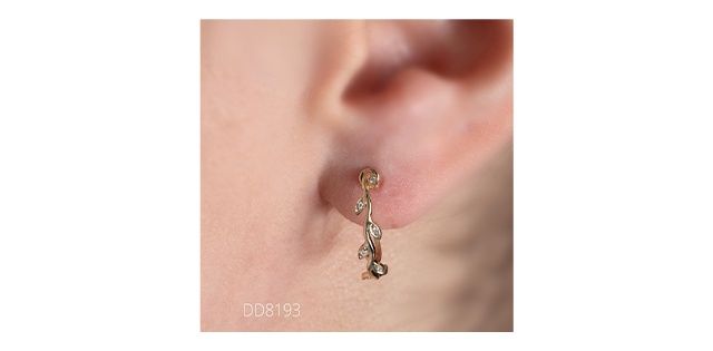 Corona Diamond 10KY .05TW Earrings EE4650