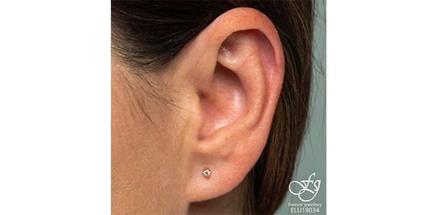 Forever Diamond 10KRW .06TW Earrings ELU18034