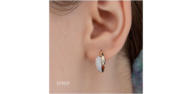 Diamond Envy 10KY .50TW Earrings EE4829