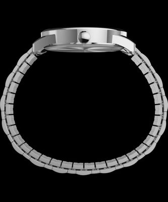 Timex Mens Silver Expansion Watch TW2R58400