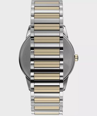 Timex Mens Silver Expansion Watch TW2W52100