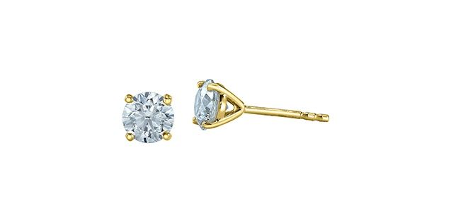 Lab Diamond 10KY 1.50TW Earrings EE4817 Diamond Evolution