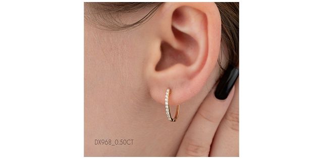 Corona Diamond 10KY .50TW Earrings EE4576