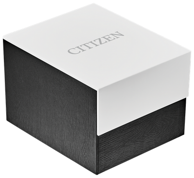 Citizen Weekender Eco-Drive Mens Watch AW1150-07E