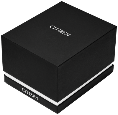 Citizen Quartz Mens Watch BF0580-06E
