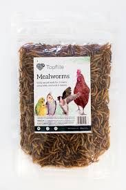 Topflite Dried Mealworms - 125g