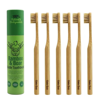 ZippFree™ Natural Bristle Bamboo Toothbrush 6-Pack (Boar Hair Only)