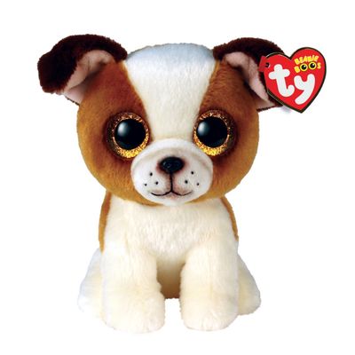 HUGO THE DOG