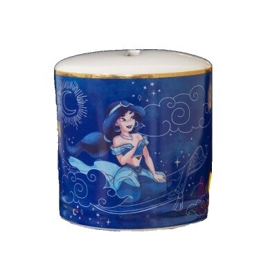 Spaarpot Disney Alladin