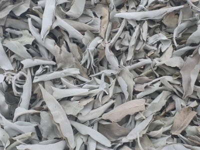Witte Salie losse bladeren zakje 50 gr