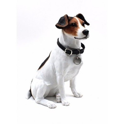 Jack Russell 24 cm