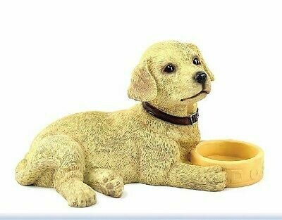 Labrador Beige 12 cm