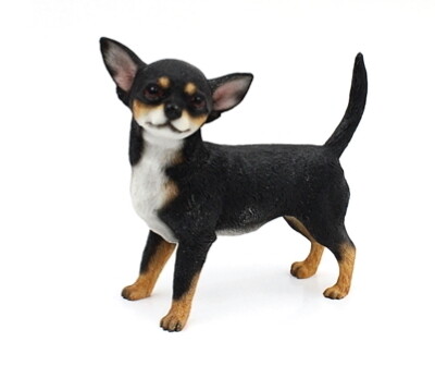 Chihuahua 12 cm