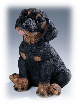 Rottweiler 23 cm