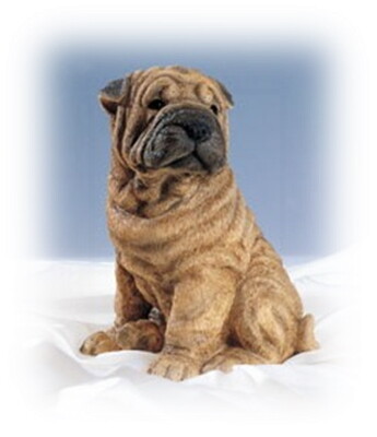 Sharpei  26 cm