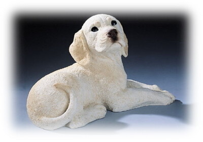 Labrador Beige  30 x 17.5 cm