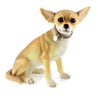 Chihuahua Beige 28 cm