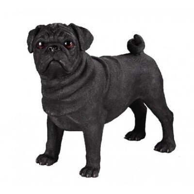Pug zwart hoogte 34 cm