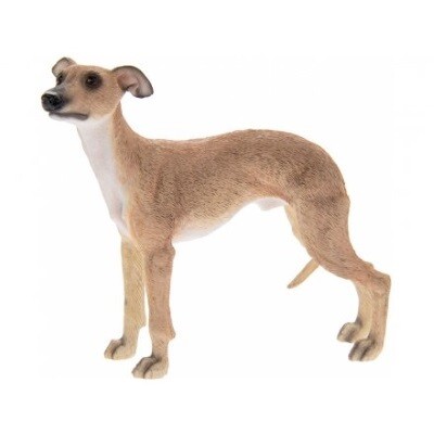 Whippet 12 cm