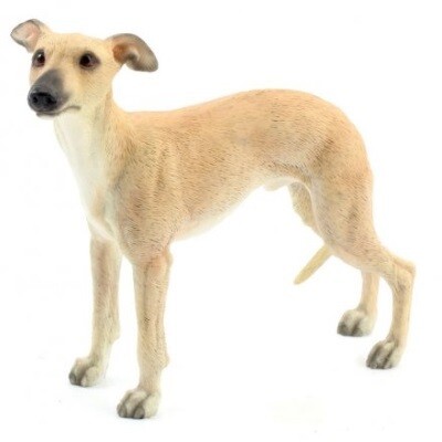 Whippet 12 cm