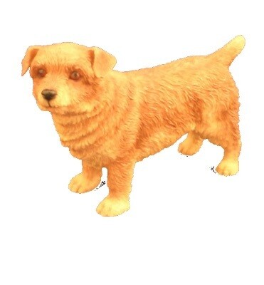 Norfolk Terrier 12 cm