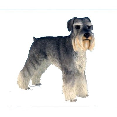 Schnauzer 12 cm