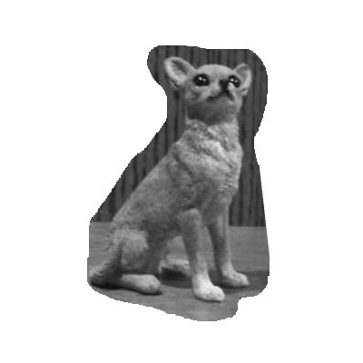 Chihuahua zwart 10 cm