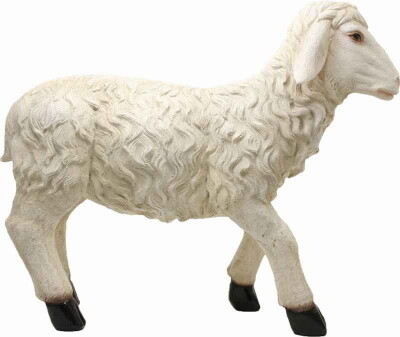 Schaap staand voor 140-160 cm figuren
