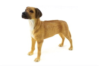 Rhodesian Ridgeback 14 cm