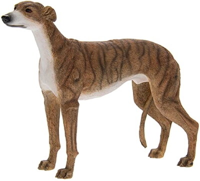 Greyhound 20 x 4 x 12 cm