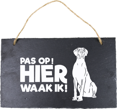 Deense-Duitse Dog Leisteen 15 x 15 cm