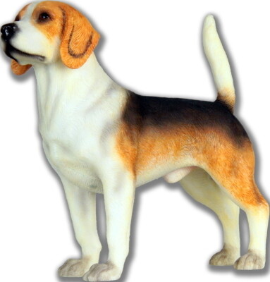 Beagle14 x 5 x 13 cm